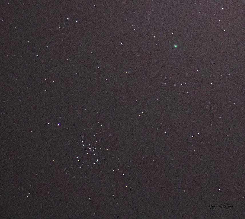 Cometa C 2019 U6 Lemmon y Can Mayor. José Fabbro